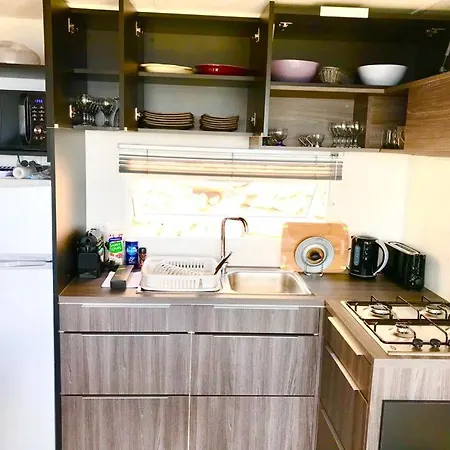 Mobil Vue Sur - Racine 03