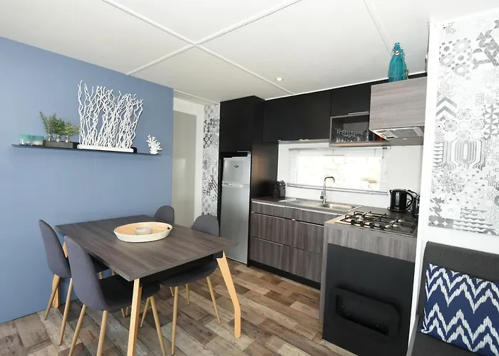 Camping Mobil Vue Sur - Racine 03